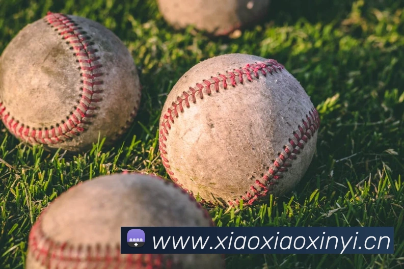 mksports官方网站发展历程